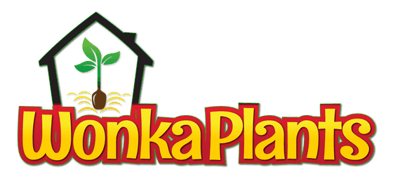 Wonkaplants Nursery
