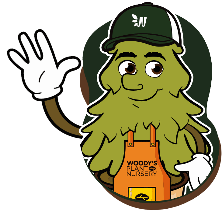 Woodys Wholesale Nursery