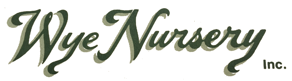 Wye Nursery Inc