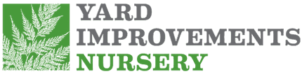 Yard Improvements Nursery