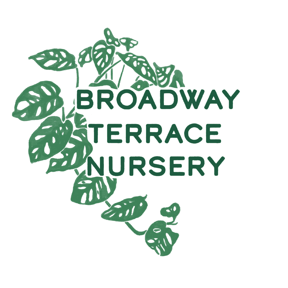 Yarrow Nursery on Broadway Terrace
