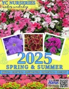 YC Nurseries