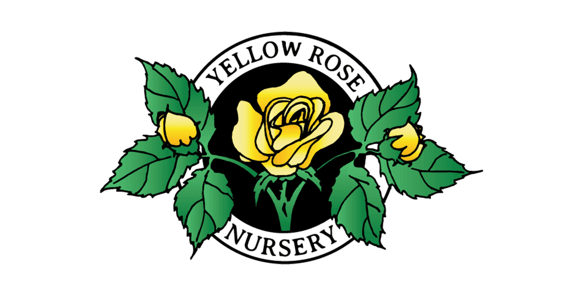 Yellow Rose Landscaping Inc