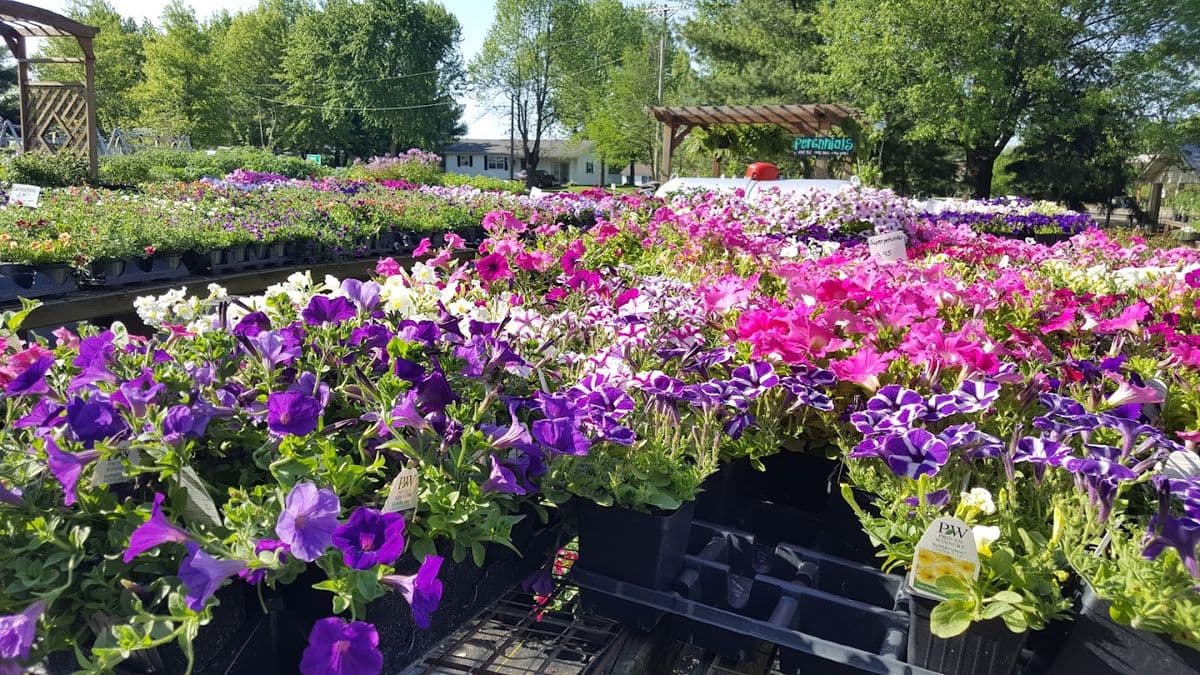 Yoder's Garden Shop