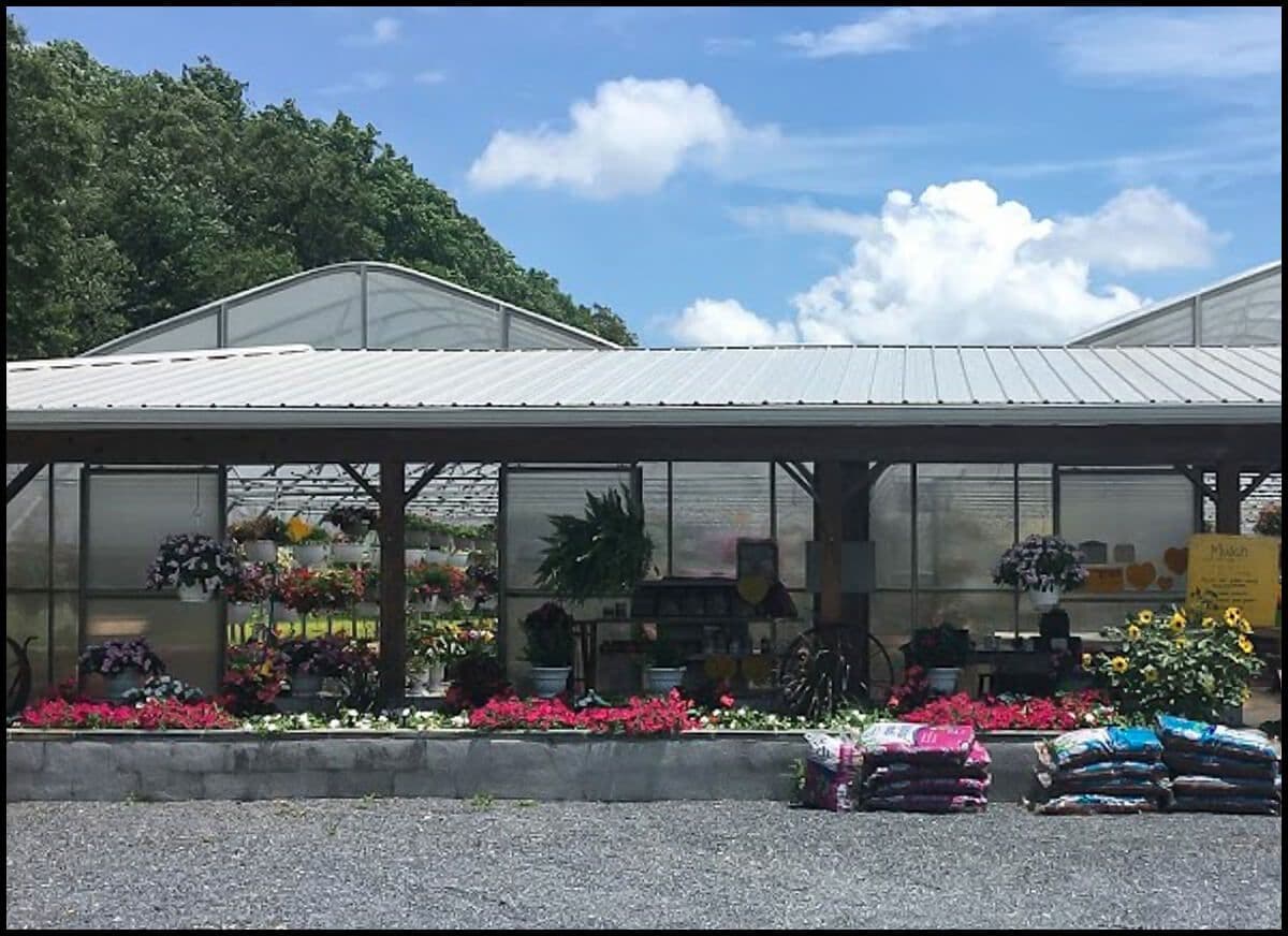 Yoder's Greenhouse