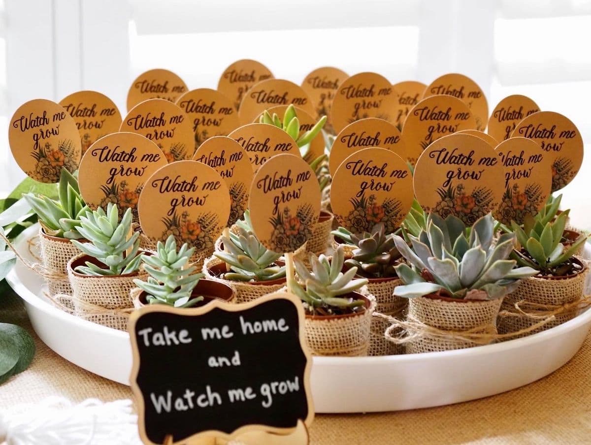 You Had Me At Aloe Co.
