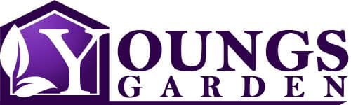 Young's Garden