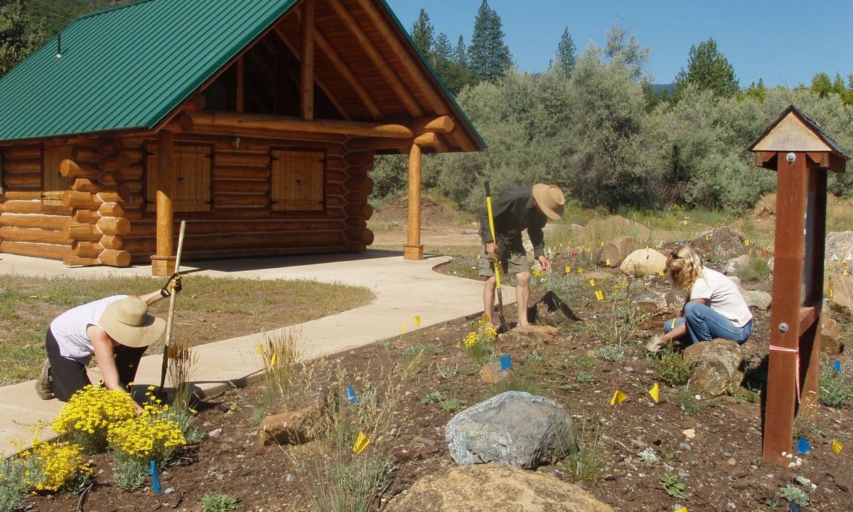 Yreka Community Gardens