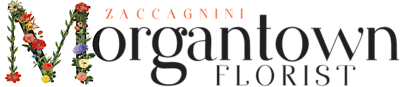 Zaccagnini Morgantown Florist