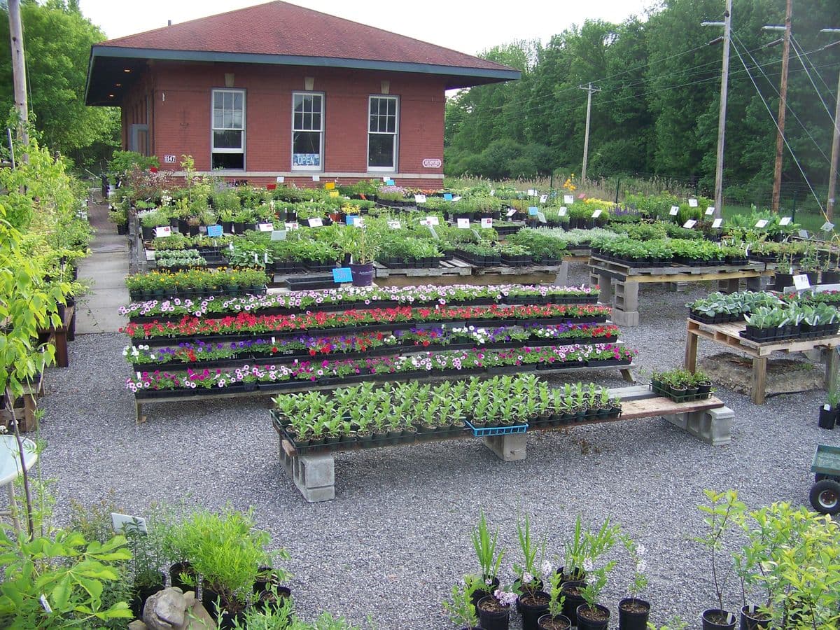Zantopia Herb Gardens