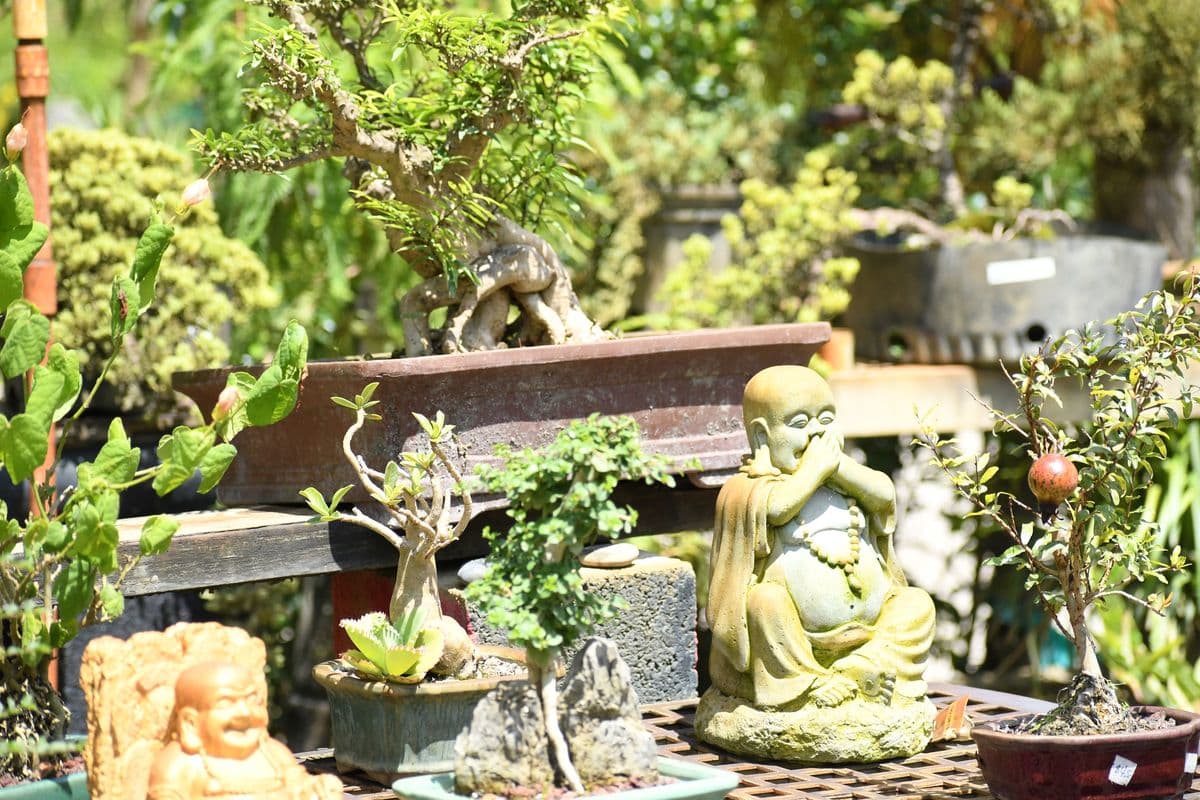 Zensations Garden