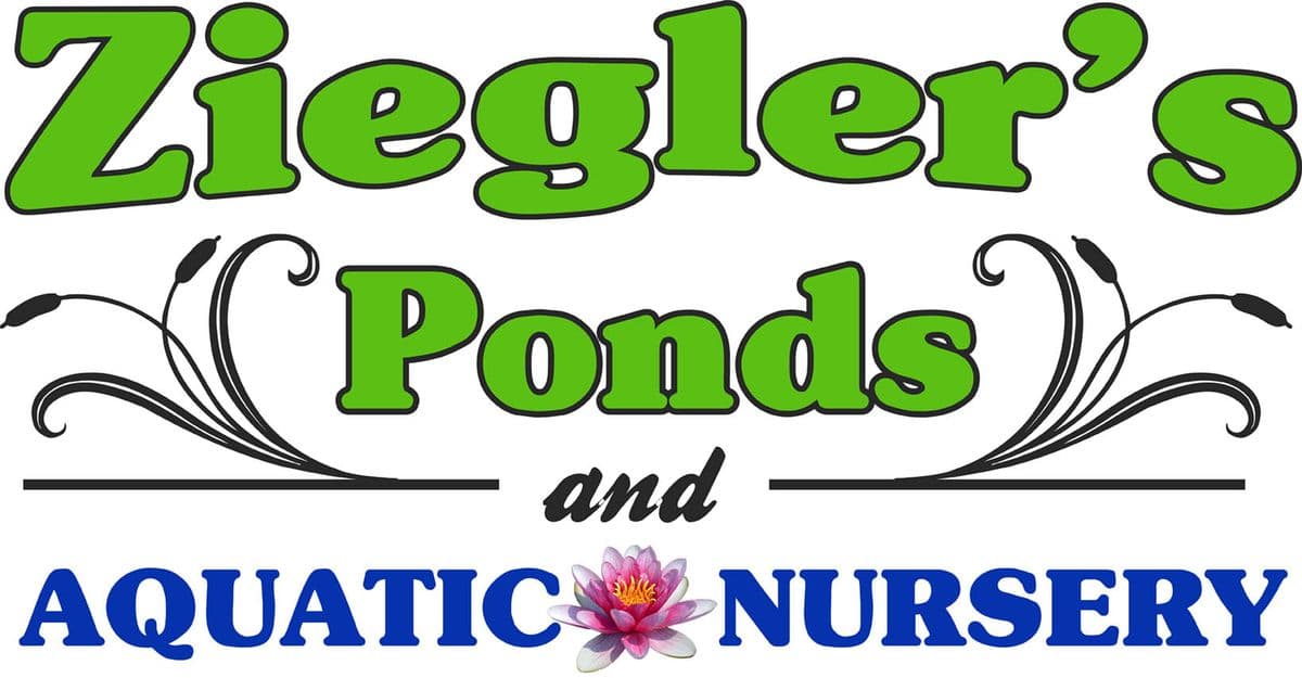 Ziegler's Ponds and Aquatic Nursery