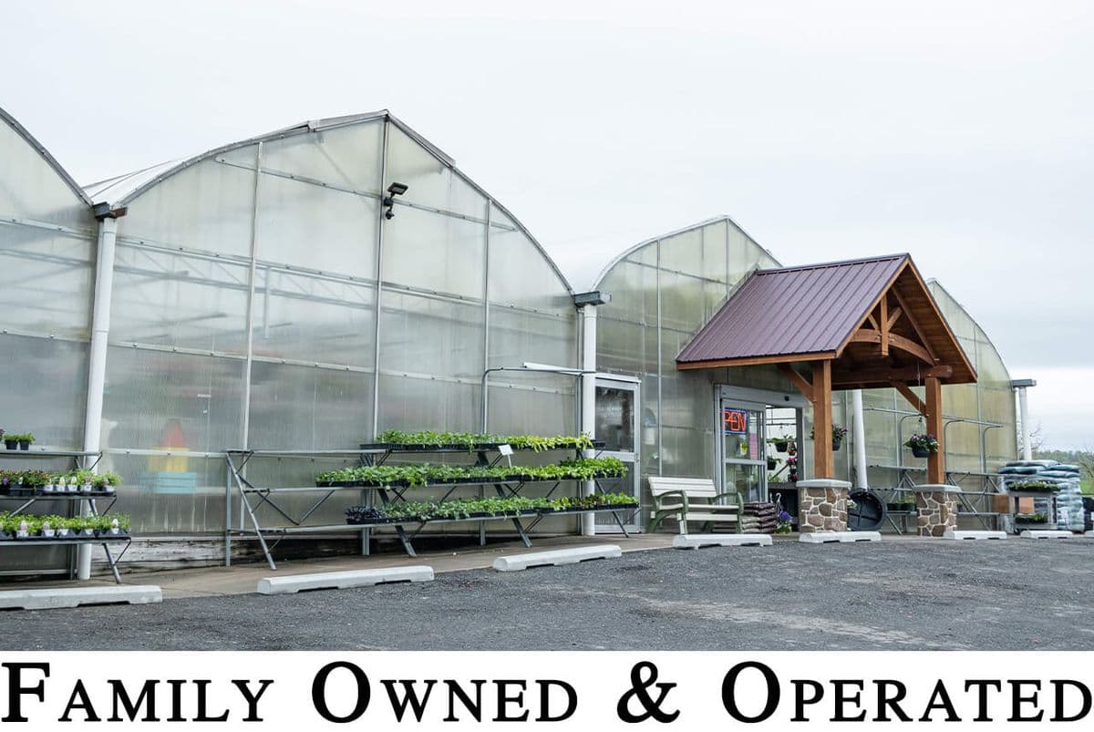 Zimmerman's Greenhouse