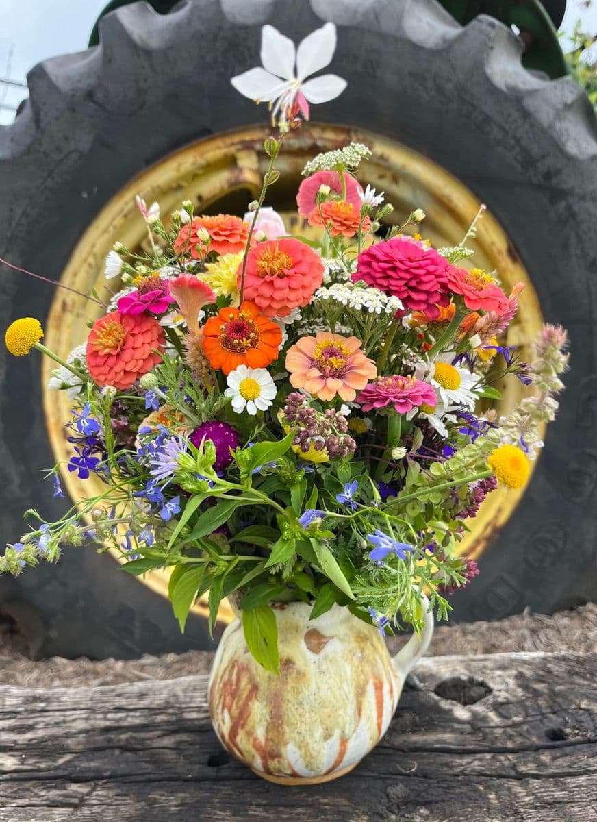 Zincseed Garden Flower Farm