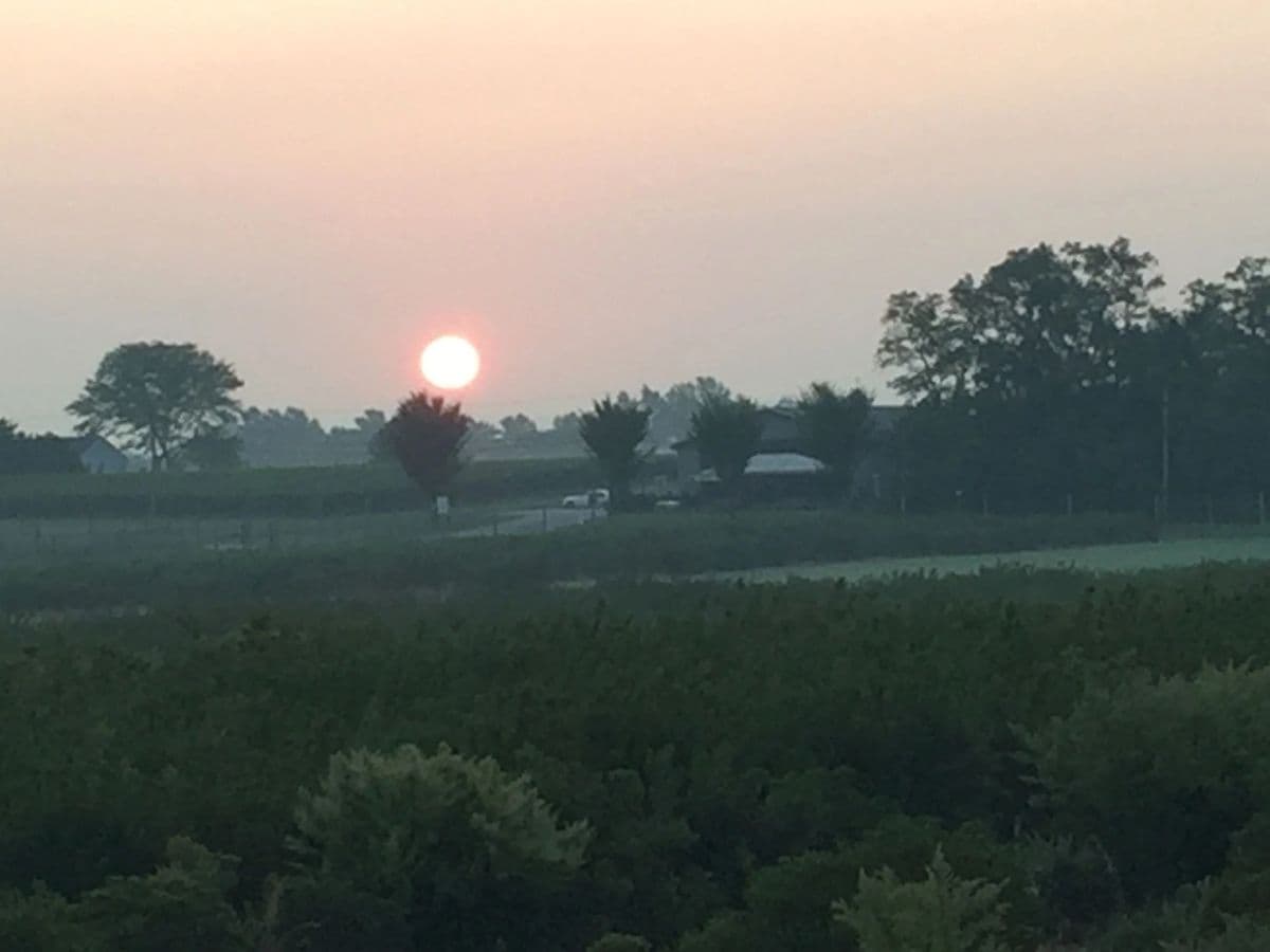 Zuhoski Farms